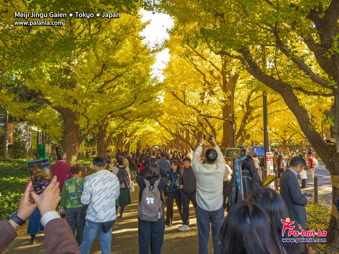 Meiji Jingu Gaien